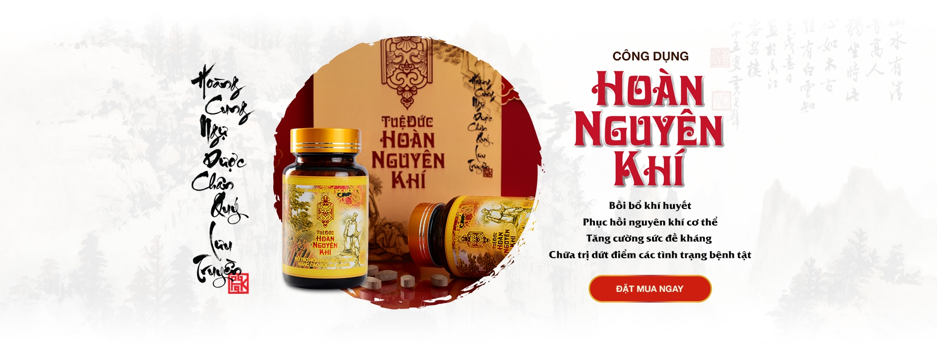 Công dụng hoàn nguyên khí