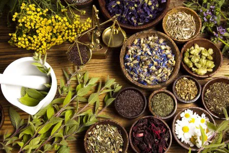 Thảo dược thiên nhiên đem lại những lợi ích to lớn cho sức khỏe