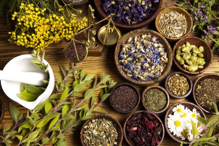 Thảo dược thiên nhiên đem lại những lợi ích to lớn cho sức khỏe
