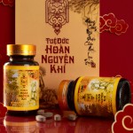 Tuệ Đức Hoàn Nguyên Khí