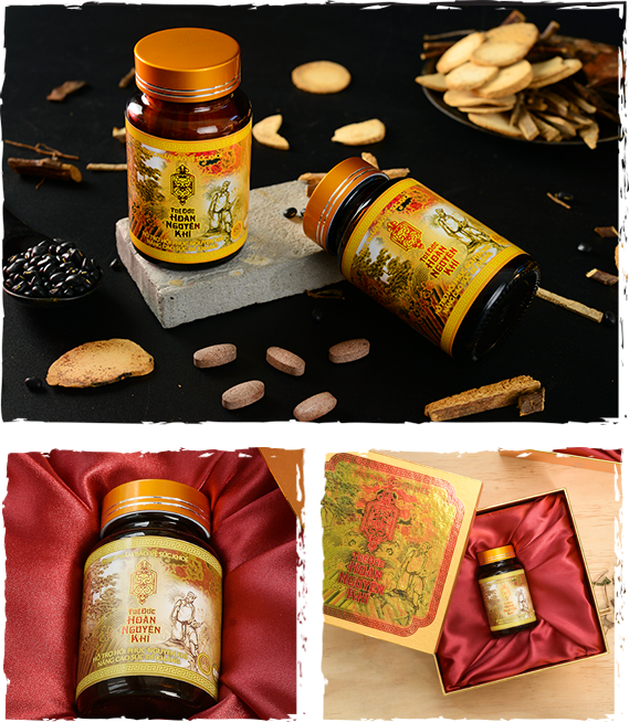 Tuệ Đức Hoàn Nguyên Khí - Hỗ Trợ Phục Hồi Nguyên Khí & Bổ Khí Huyết